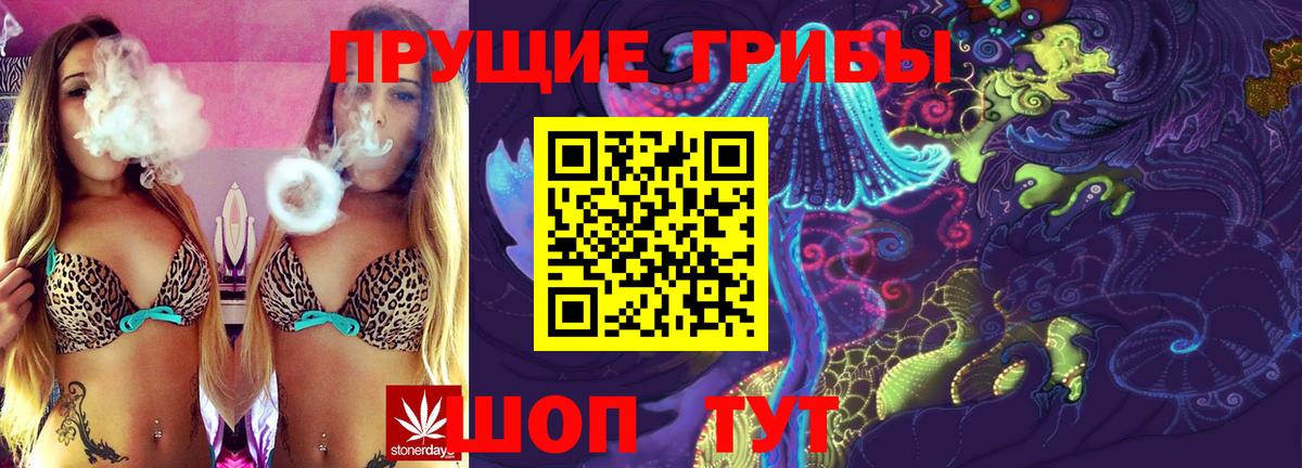 Сатка  Галлюциногенные грибы GOLDEN TEACHER  Вход с VPN 